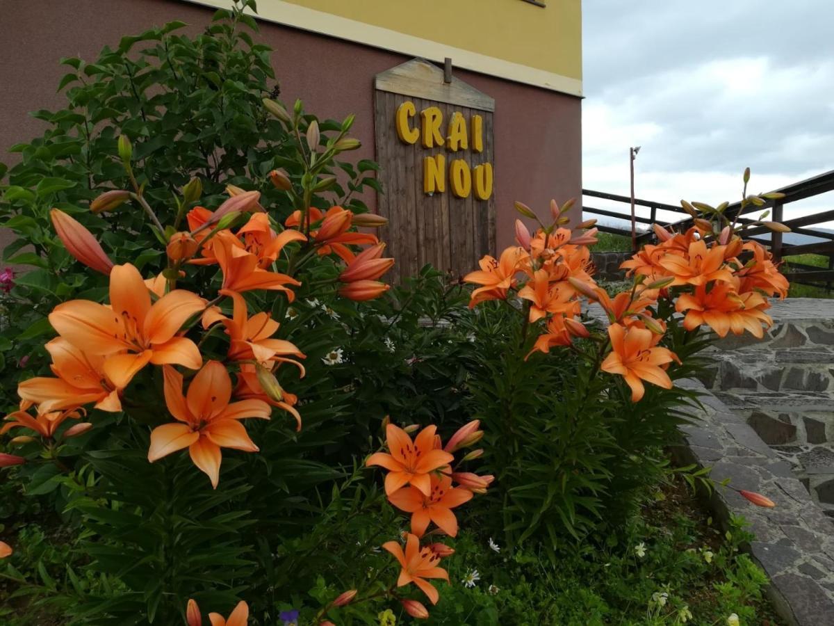 Pensiunea Crai Nou Ширня Экстерьер фото