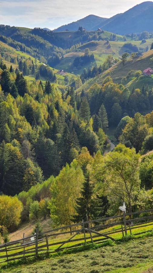 Pensiunea Crai Nou Ширня Экстерьер фото