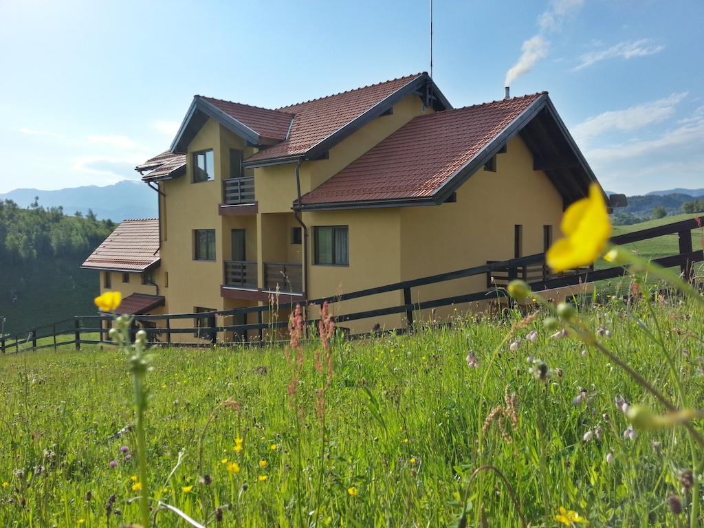 Pensiunea Crai Nou Ширня Экстерьер фото